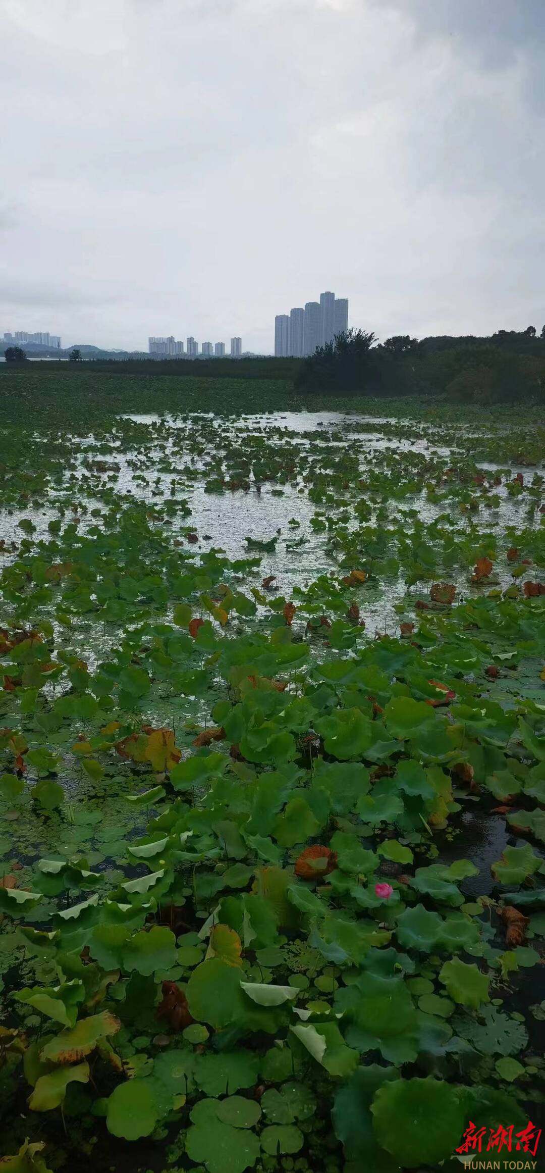 学习园地 法答网精选答问（第十六批）——国家赔偿及司法救助专题